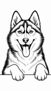 Cómo dibujar un Husky fácilmente: guía paso a paso para un dibujo perfecto